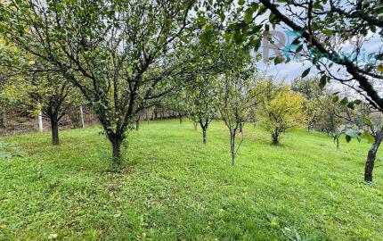 Cenovo dostupný vidiecky dom Bódvaszilas, 10 min od Štátnej hranice