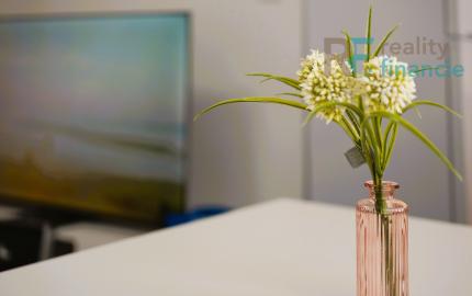 PRENÁJOM  1 i byt -  Nad Jazerom