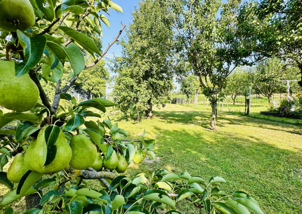 Rodinný dom Vyšný Lanec - časť obce Perín