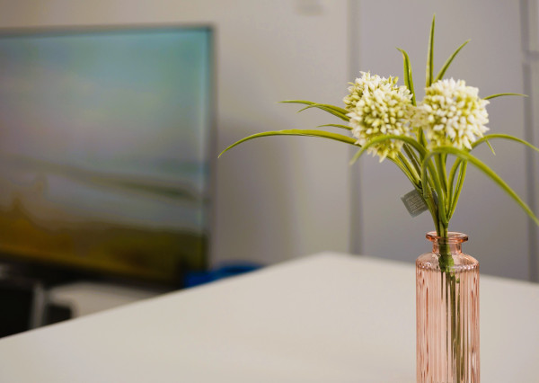 PRENÁJOM  1 i byt -  Nad Jazerom