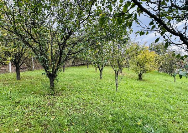 Cenovo dostupný vidiecky dom Bódvaszilas, 10 min od Štátnej hranice