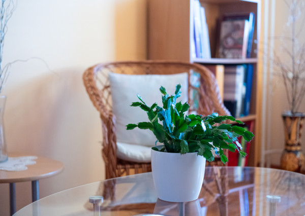 REZERVOVANÝ 3 izbový byt Americká trieda Ťahanovce